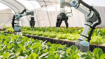 Il est nécessaire de renforcer les pouvoirs des autorités locales et de promouvoir la science et la technologie dans les zones rurales.