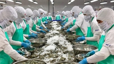 La science et la technologie créent un nouvel élan pour les exportations agricoles, forestières et halieutiques.