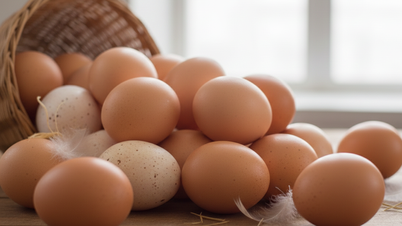 ថ្ងៃ​ថ្មី​ជាមួយ​ព័ត៌មាន​សុខភាព៖ តើ​អ្វី​ជា​វិធី​ដ៏​មាន​ប្រយោជន៍​បំផុត​ក្នុង​ការ​ញ៉ាំ​ស៊ុត​ជា​អាហារ​ពេល​ព្រឹក?