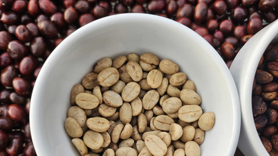 Os preços do café caíram drasticamente hoje, 26 de novembro de 2025, devido às condições climáticas.