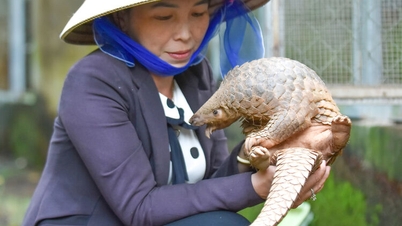 Διάσωση σπάνιων ζώων στο Εθνικό Πάρκο U Minh Thuong