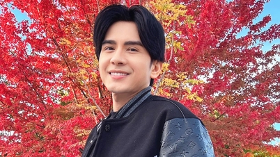 Lecciones para los artistas vietnamitas tras el escándalo benéfico del cantante Dan Truong