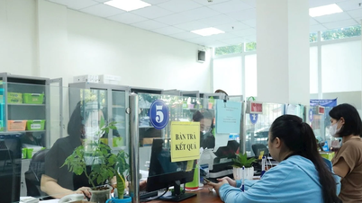 انتظامی حدود سے قطع نظر سماجی انشورنس کے نظام کو حل کرنا