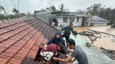 โรงเรียนหลายแห่งในนครโฮจิมินห์ลดค่าเล่าเรียนและเปิดตัวแคมเปญช่วยเหลือผู้คนในพื้นที่ที่ได้รับผลกระทบจากน้ำท่วมในเวลาเดียวกัน