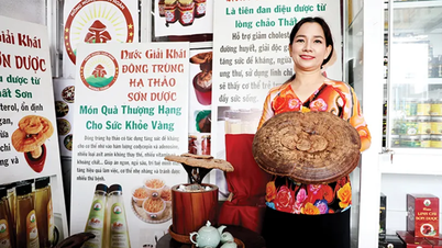 Perspectives de production de champignons dans une direction circulaire et fermée