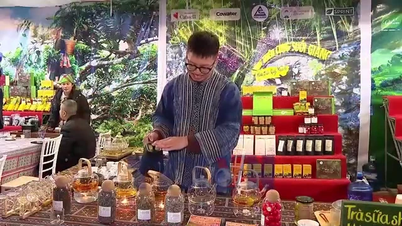 Soirée thé à Suoi Giang au sommet de la montagne brumeuse