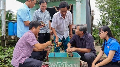 Dat Moi Commune repliziert ein effektives Produktionsmodell