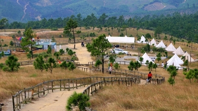 Phoenix Peak: Beleef het brandende grasseizoen in Quang Ninh