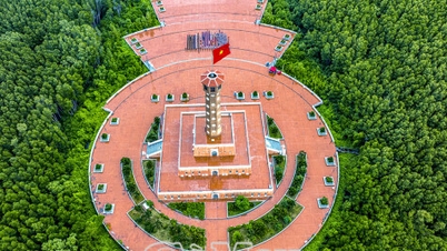 Naar de plek waar "het land weet te bloeien, het bos weet te wandelen"