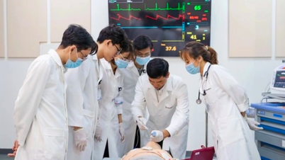 Berapa banyak sekolah melatih doktor dan peguam di negara ini?