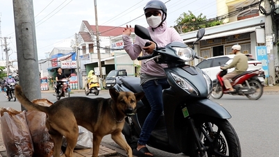 Can Tho'daki ünlü kızarmış muz dükkanı, müşterilerini özel 'kasiyeri' ile heyecanlandırıyor