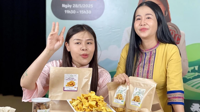 Doanh nghiệp Gia Lai chế biến sâu để tăng giá trị quả chuối