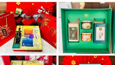 Để sản phẩm OCOP ở Nghệ An phát triển bền vững