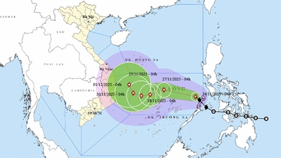 Прогноз погоди на 26 листопада: Шторм посилюється у Східному морі, високі хвилі