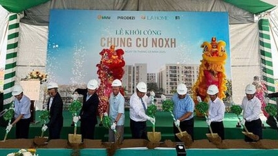 타이닌성, 사회주택 건설 추진