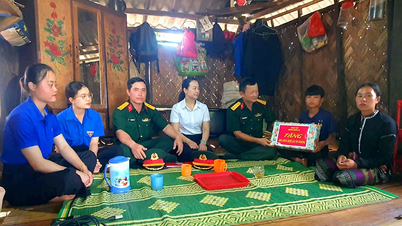 «پرورش» آینده در وسترن کوانگ تری