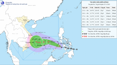 Прогноз 2 сценаріїв для шторму № 15: Вплине на 4 провінції або розсіється у Східному морі