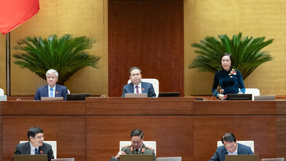 De hele samenleving werkt samen om nationale doelprogramma's te implementeren.