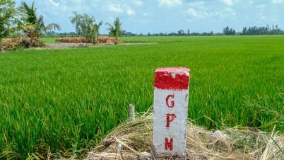 Прискорити розчищення ділянки для проекту під'їзних доріг до 3 мостів на провінційній дорозі 827E