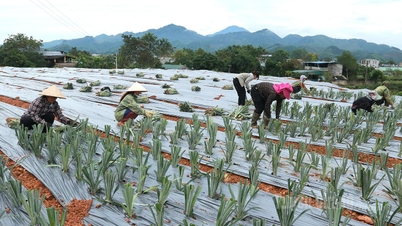 Відтворення високотехнологічних сільськогосподарських моделей