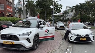 Liderii Vinasun discută despre strategia competitivă