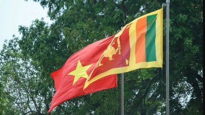 Vietnam und Sri Lanka bauen die Zusammenarbeit in potenziellen und prioritären Bereichen aus