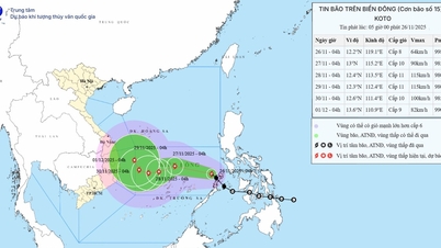 НОВОСТИ О ШТОРМЕ В ВОСТОЧНОМ МОРЕ (Шторм № 15)