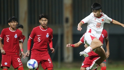 Pronostic Vietnam U17 - Hong Kong U17 : Victoire lors du troisième match