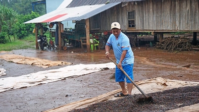 Sortez de la pauvreté grâce aux politiques de soutien