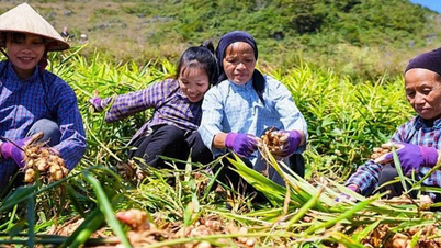 Nieuw momentum voor het bijzonder moeilijke gebied van Cao Bang