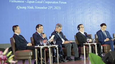 Vicevoorzitter van het Provinciaal Volkscomité, Phan The Tuan, gaf een presentatie over het aantrekken van investeringen op het Vietnam-Japanse Lokale Samenwerkingsforum