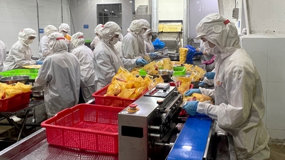 Bac Ninh: Creșterea conținutului tehnologic, creșterea valorii produselor agricole