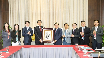 Phan The Tuan, a Tartományi Népi Bizottság alelnöke együttműködött a vietnami japán nagykövettel