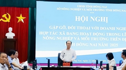 Đồng Nai tiếp tục đồng hành trong sản xuất sạch