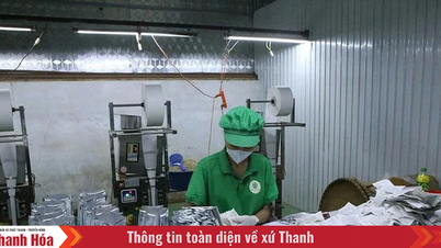 Pilih dan bangunkan produk OCOP daripada kekuatan utama