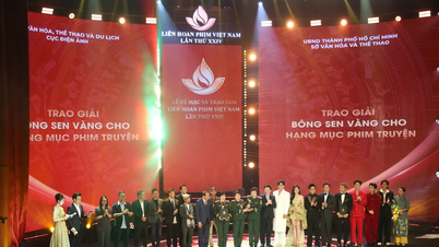 ភ្លៀងក្រហម "បក់បោក" 5 ប្រភេទពានរង្វាន់