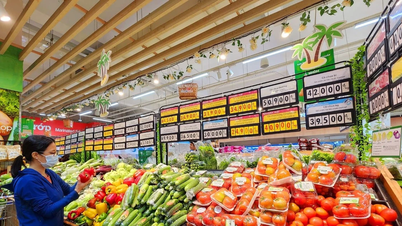 מחיר השוק ב-25 בנובמבר 2025