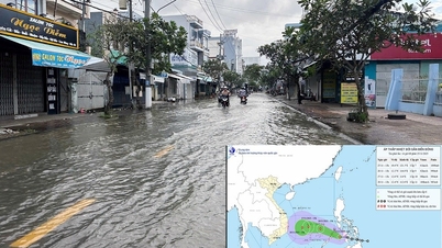 Голова провінційного народного комітету керував синхронним впровадженням заходів щодо реагування на тропічні депресії та високі припливи.