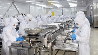 3-річний фінансовий та бюджетний план на 2026-2028 роки