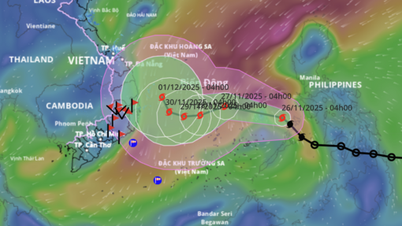 La tempête Koto entre en mer de Chine méridionale et devient la 15e tempête de l'année. Elle devrait se renforcer de deux niveaux aujourd'hui et ce soir.