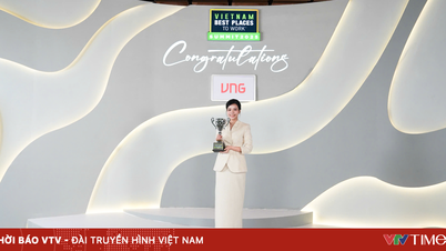 VNG کو ویتنام® 2025 میں کام کرنے کے لیے سرفہرست 35 بہترین مقامات میں اعزاز سے نوازا گیا۔