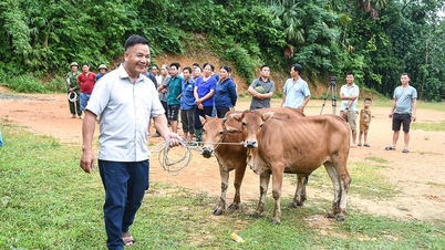 ہمونگ کاؤ سپورٹ پروجیکٹ کی تاثیر