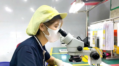 Consolidarea propagandei de integrare economică, salutând valul de investiții