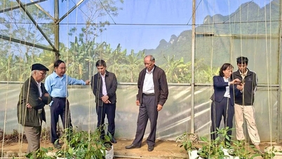 Delegasjonen fra den provinsielle hageforeningen besøkte den økonomiske utviklingsmodellen for netthus i Ha Giang 2-distriktet.