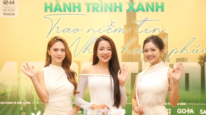 مروری بر اولین کنفرانس مطبوعاتی نیمه ماراتن تین فونگ - 2025