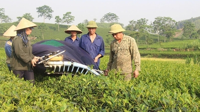 ヌー・ケの変化