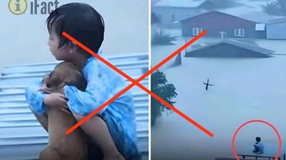 Quand un bras n'appartient pas à ce monde