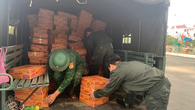 Az Acecook Vietnam 60 000 terméket támogat, segítve a Dak Lak, Khanh Hoa és Gia Lai lakosait a történelmi áradások leküzdésében.