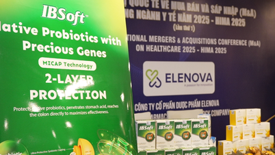 Produkty „Made in” Vietnam towarzyszą targom HIMA 2025