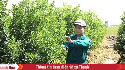 «Σπέρνοντας» τους σπόρους της καινοτομίας στην πατρίδα